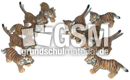 Tiger-5+5.jpg
